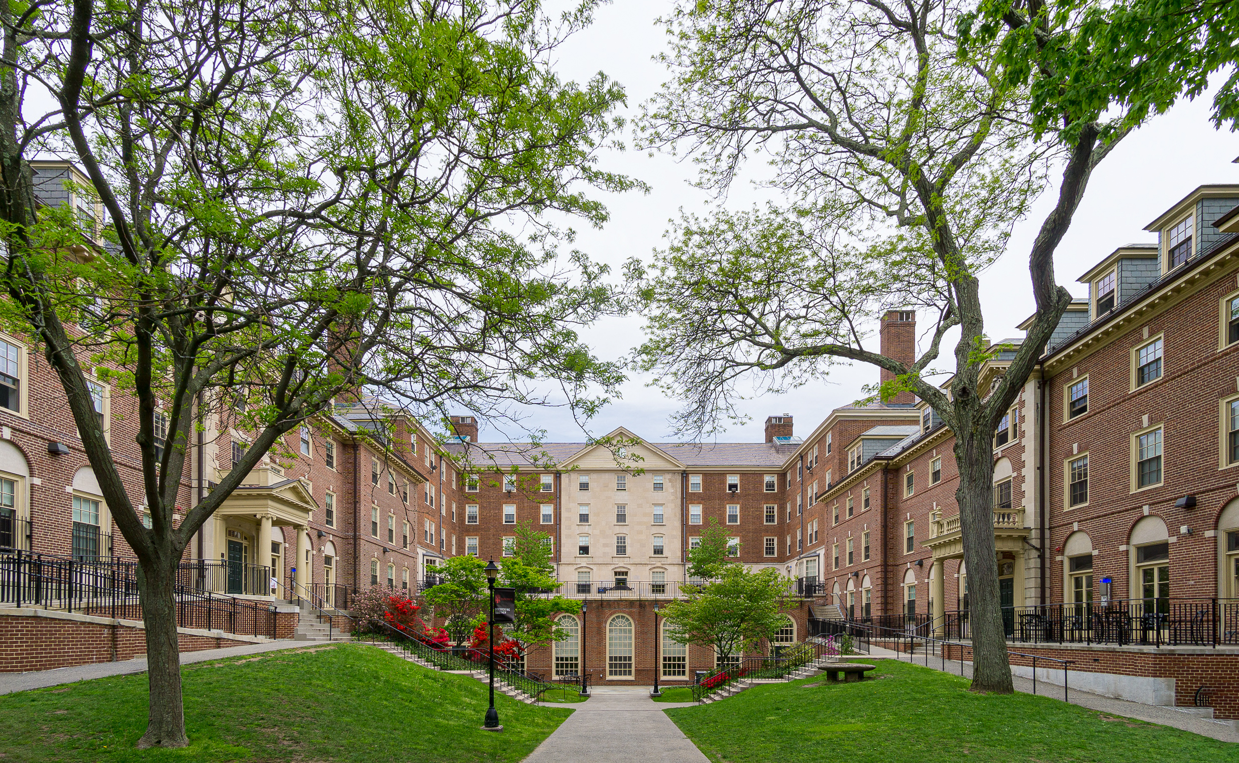 test-optional colleges; brown university
