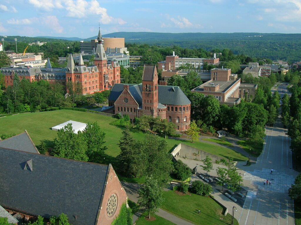 test-optional colleges; cornell