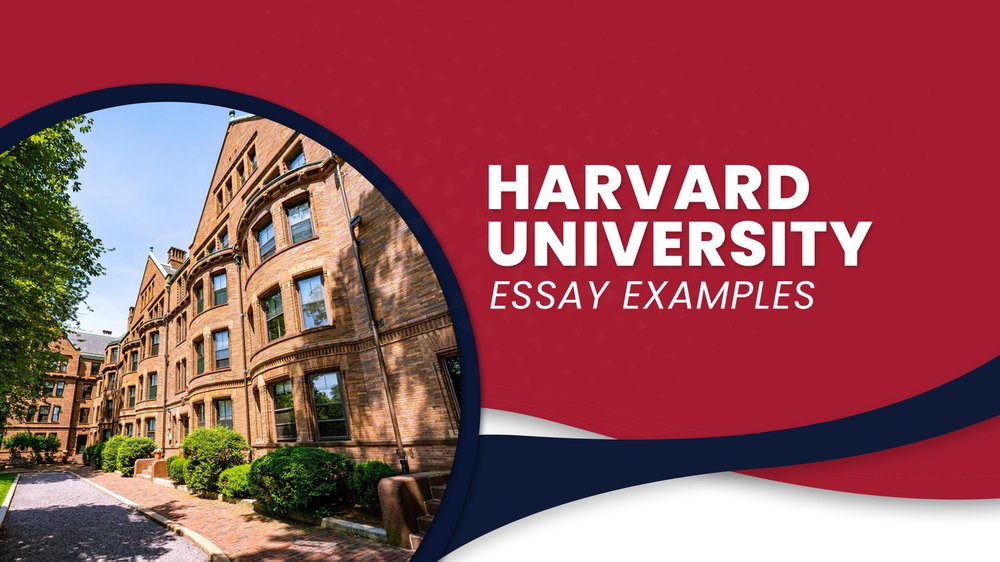 college admissions essay examples harvard