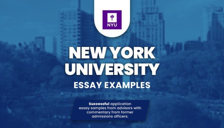 find university essays