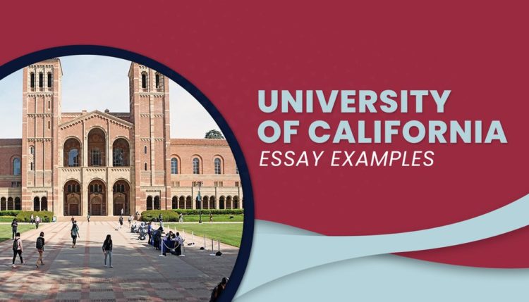 find university essays