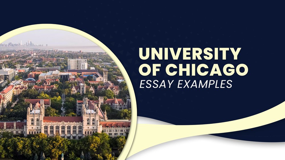 College Essay Guides Find the 100 Free Info at College Advisor