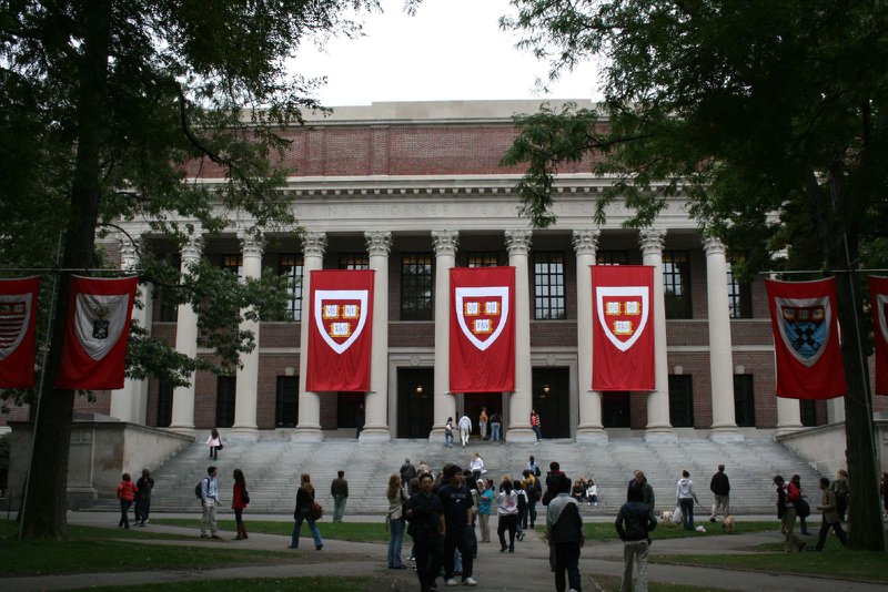 harvard early decision
