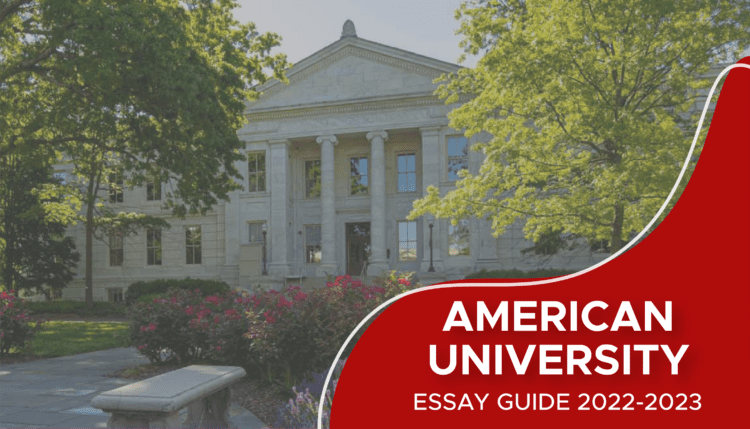 American University Essay