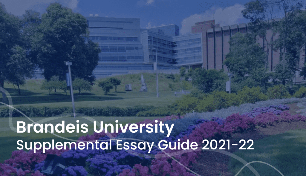 brandeis supplemental essays 2023 24
