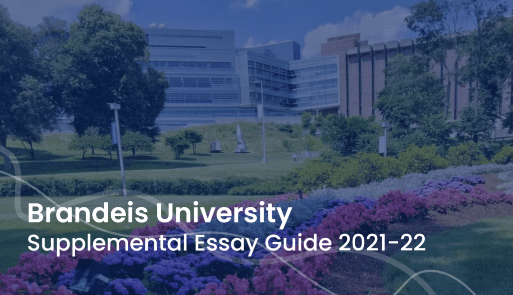 how to write advice essay