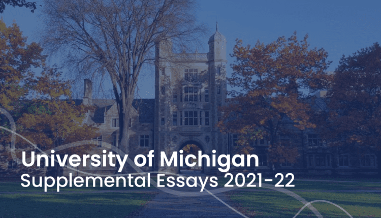 find university essays