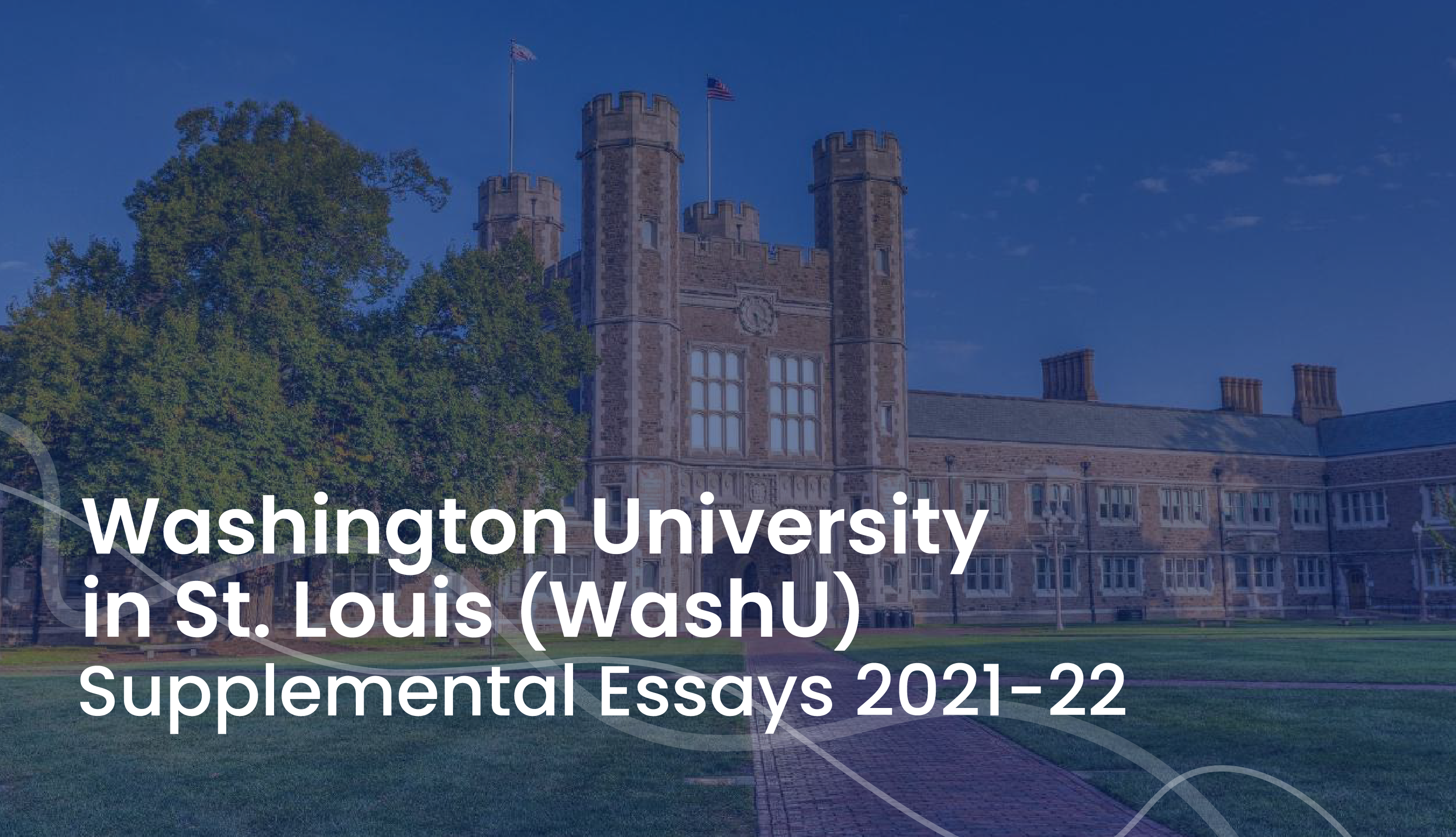 washu supplemental essays examples