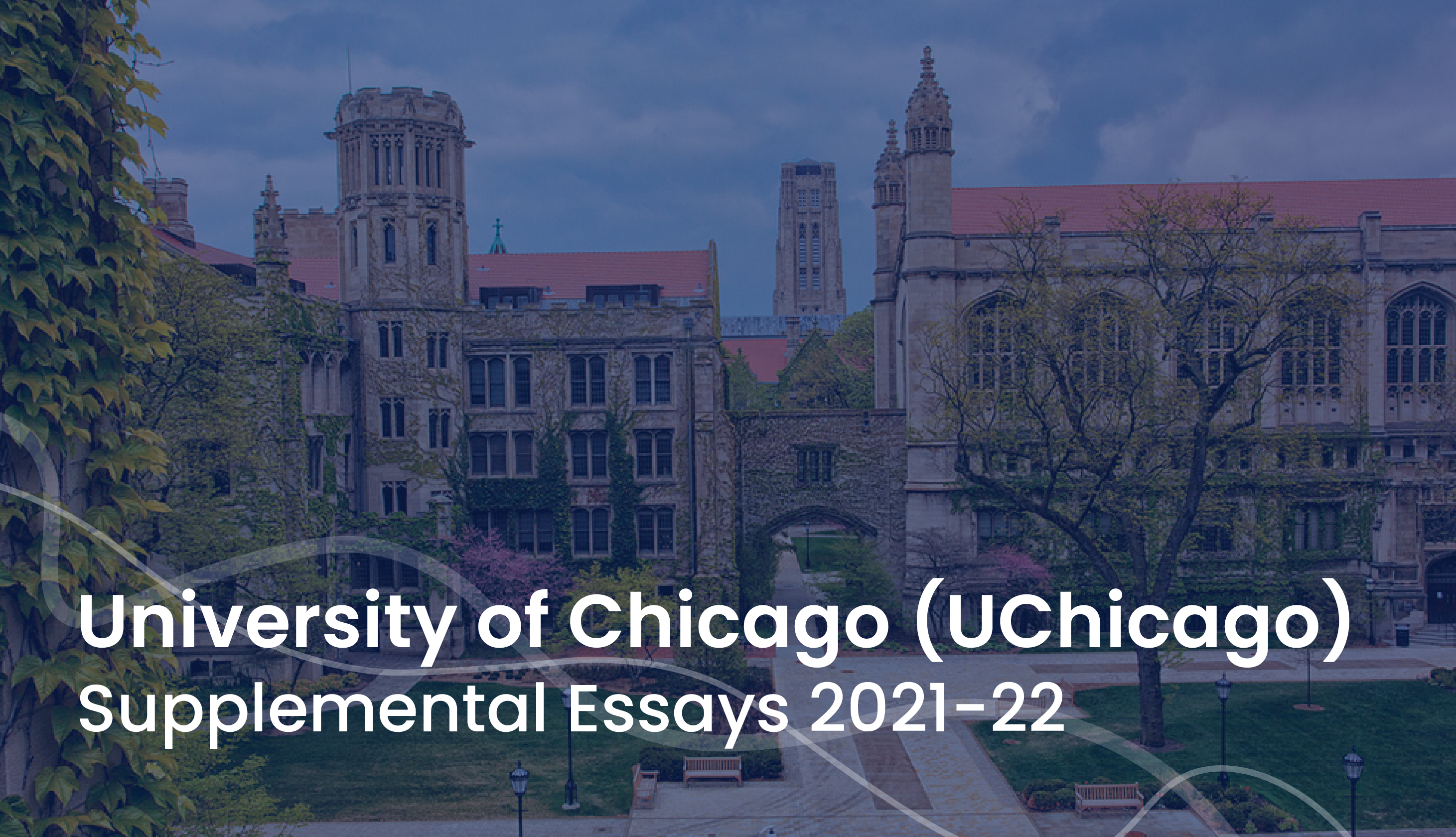 university of chicago essays 2024