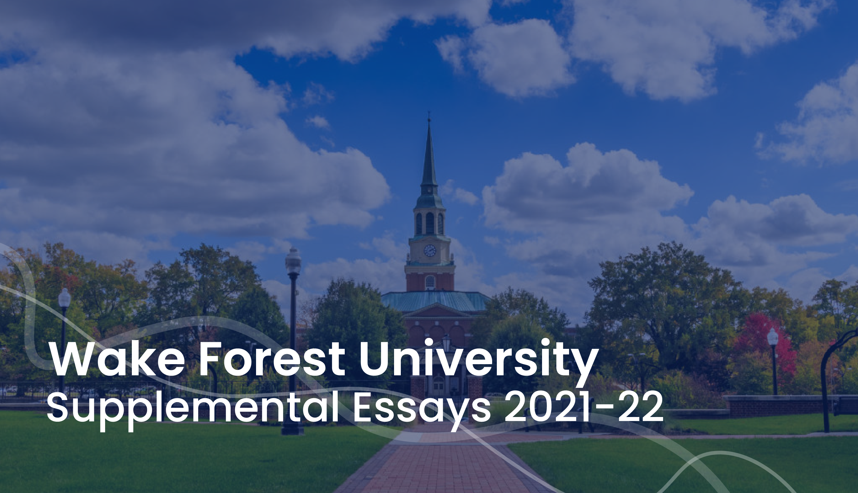 wake forest university supplemental essays 2024