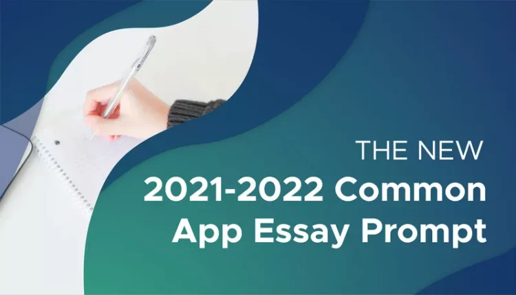 college advisor common app essay