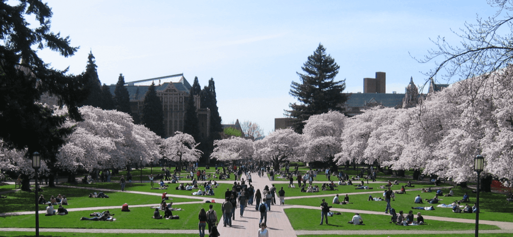 UW essay prompts image; collegeadvisor.com: a photo of University of Washington's campus.