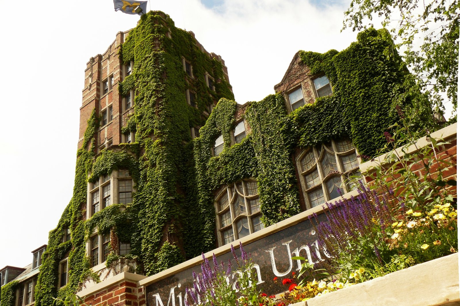 How To Write University Of Michigan Supplemental Essays How To Write University Of Michigan Supplemental Essays