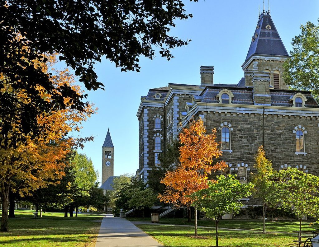 How to Get Into Cornell Guide