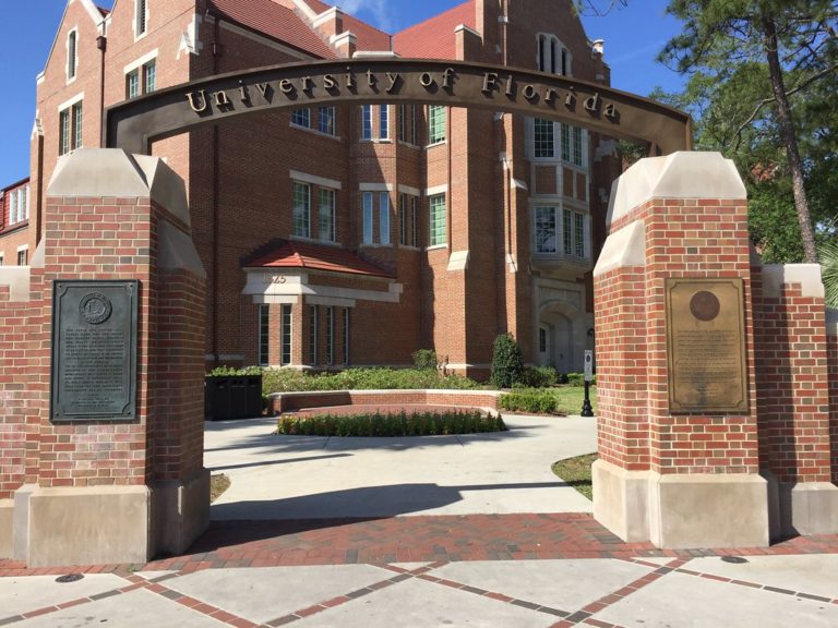 How To Get Into UF Guide how-to-get-into-uf-guide