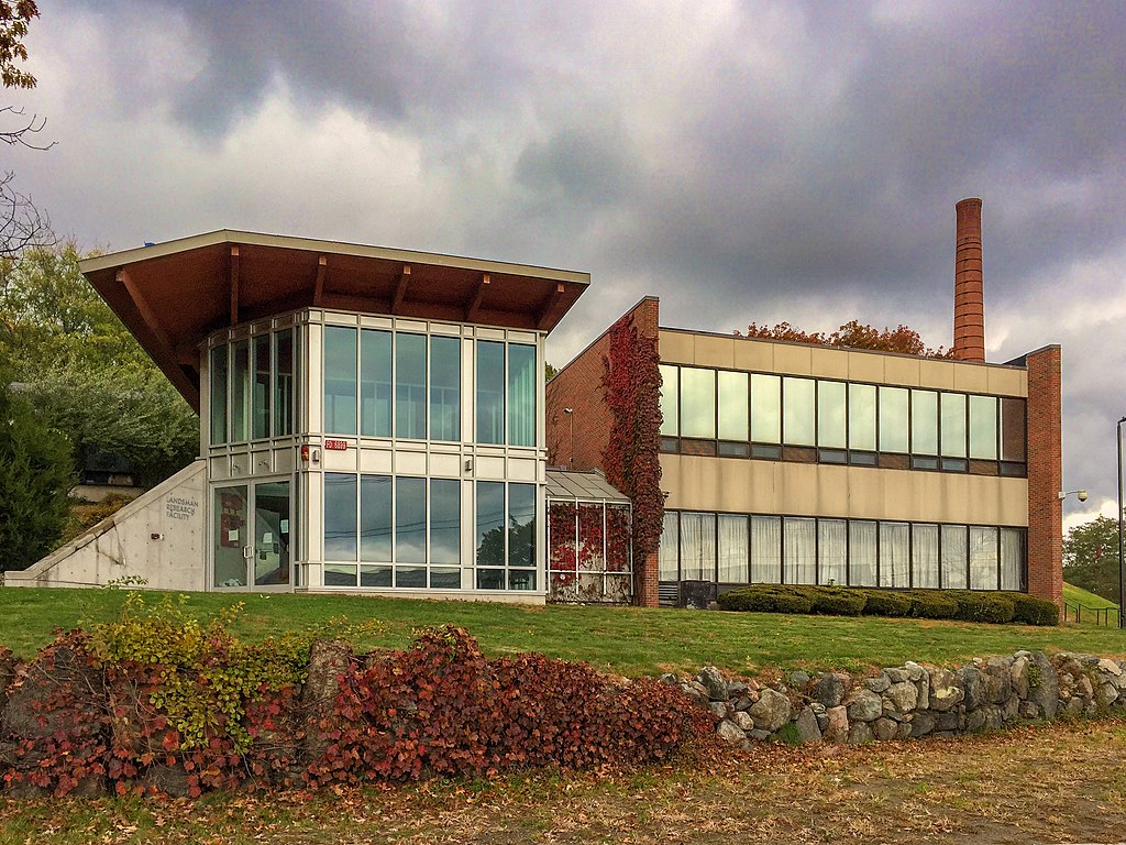 how to get into brandeis; collegeadvisor.com image: a photo of brandeis university campus building