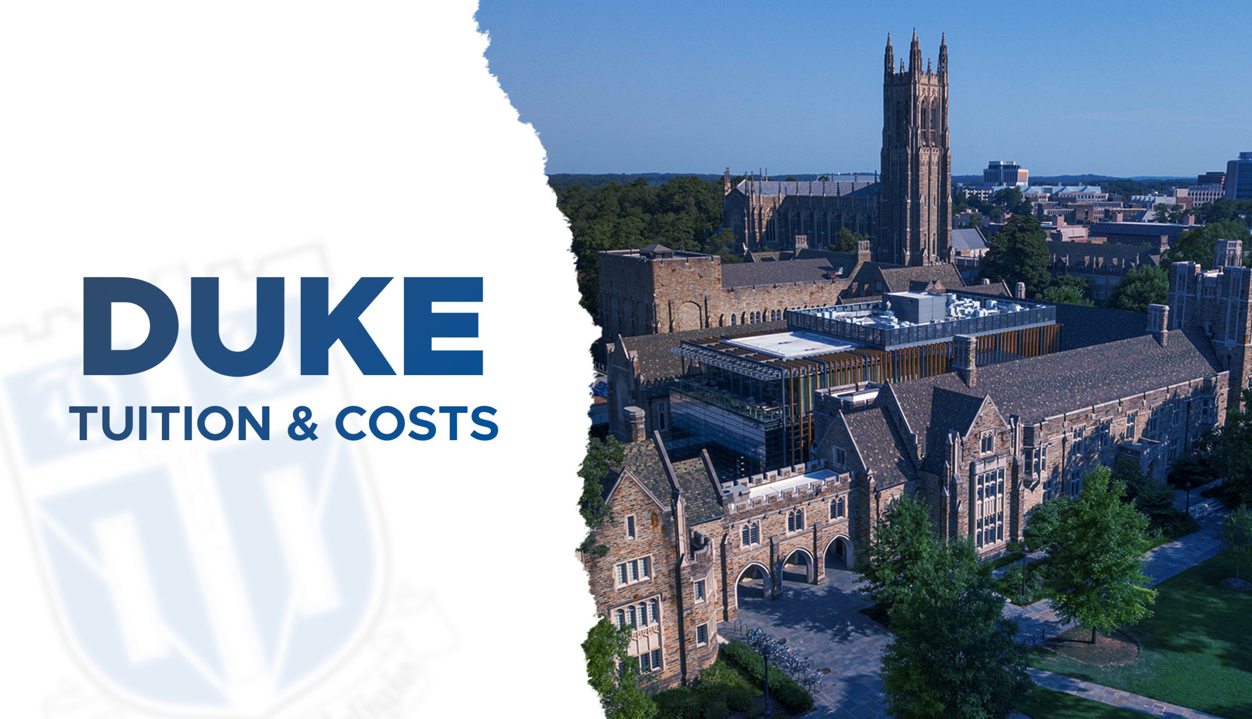 duke economics phd application deadline