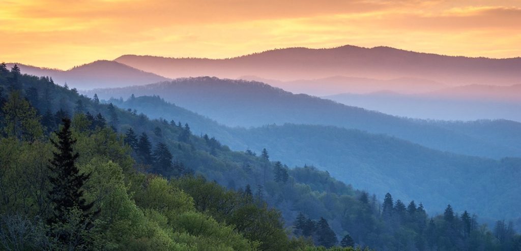 Tennessee HOPE Scholarship