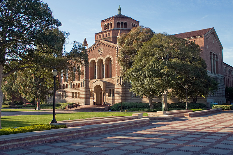 College Enrollment College Enrollment Statistics Enrollment Trends