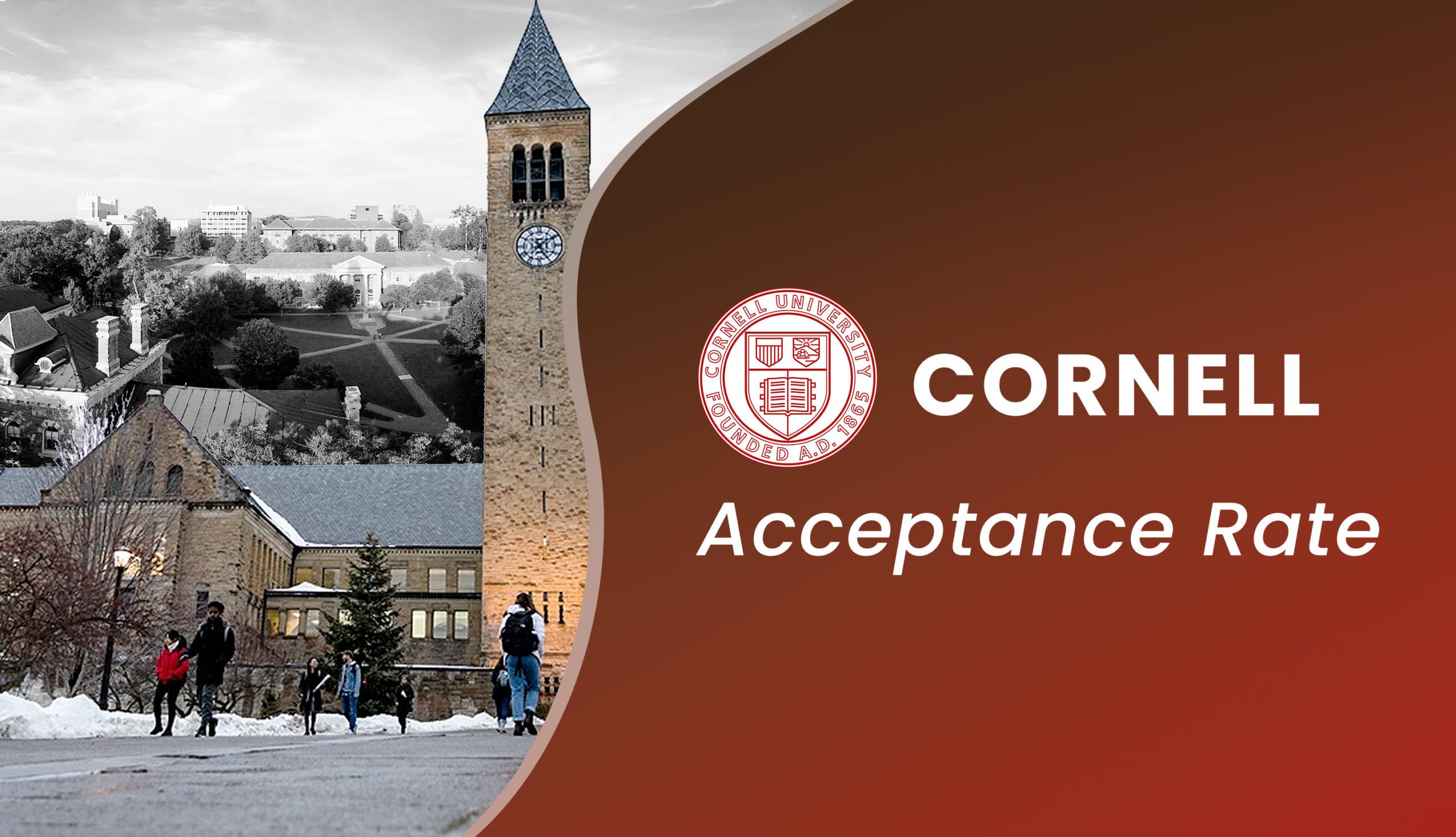 cornell biology phd acceptance rate