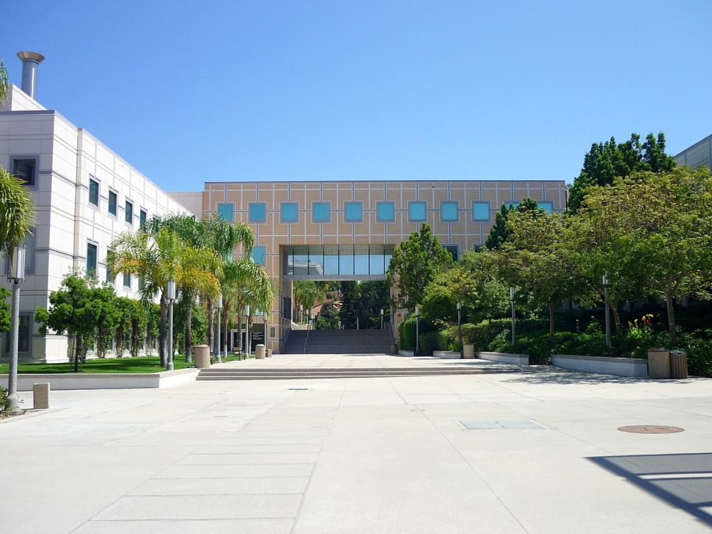 public ivies