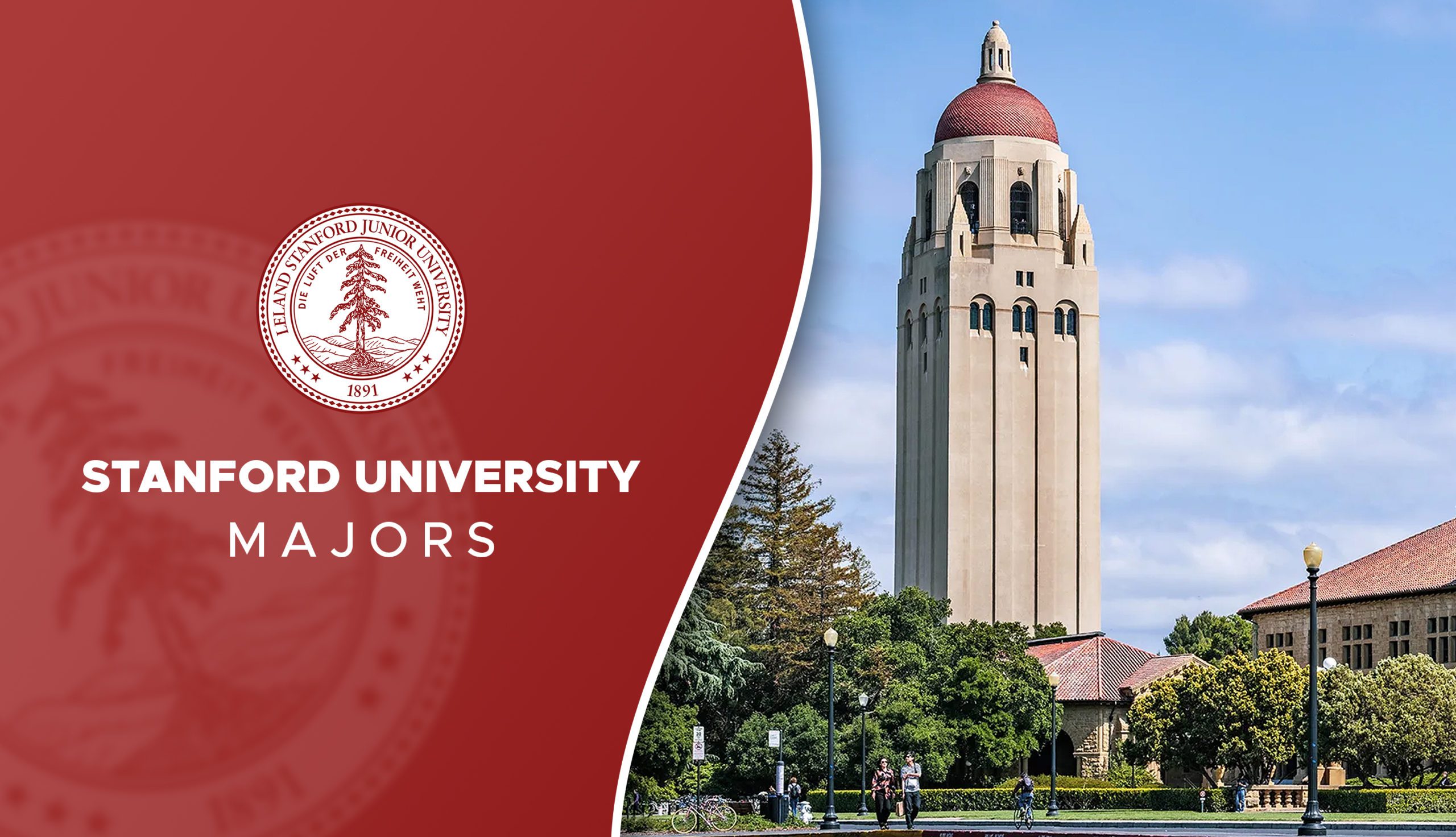 phd stanford majors