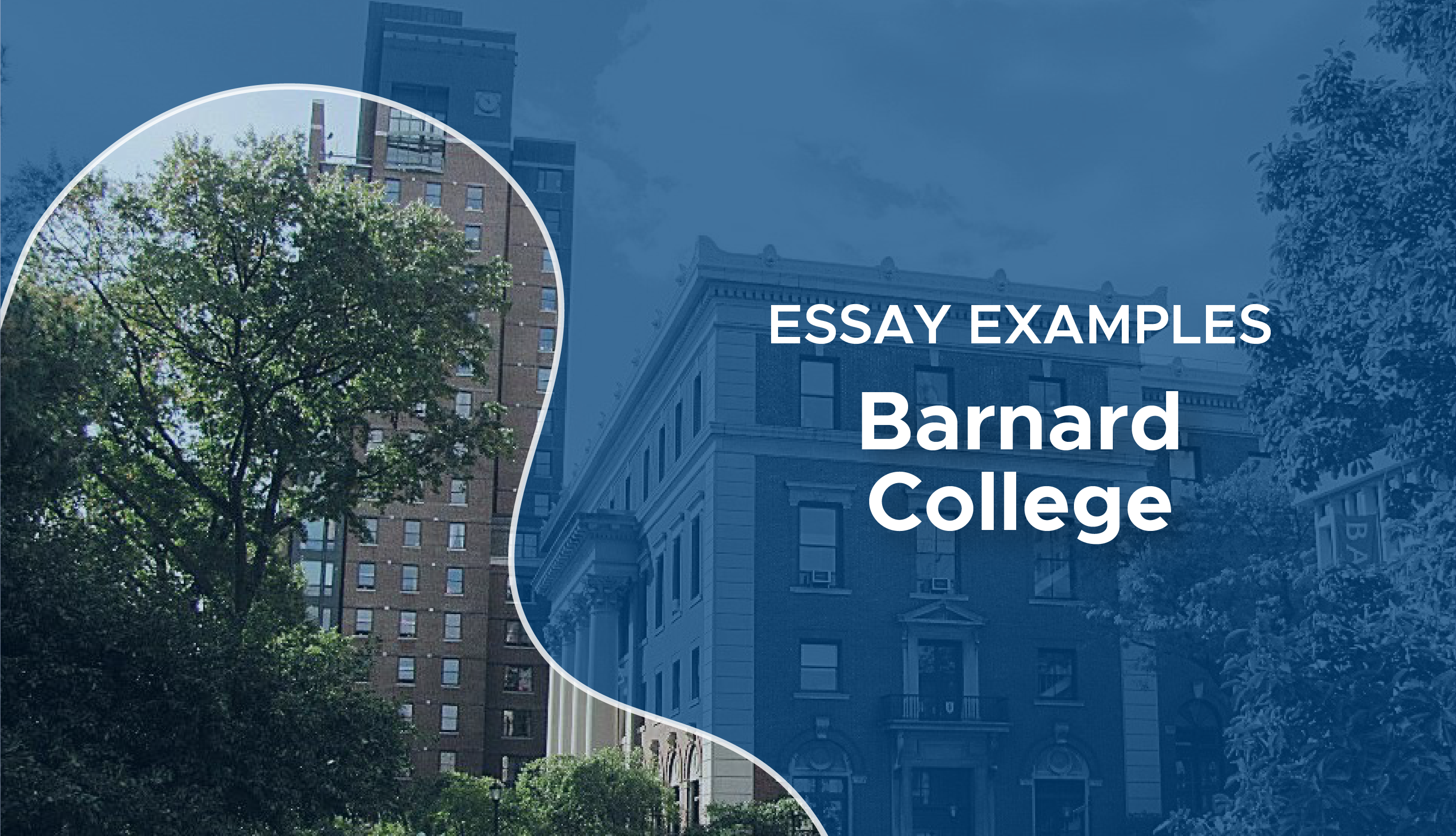 barnard college supplemental essays