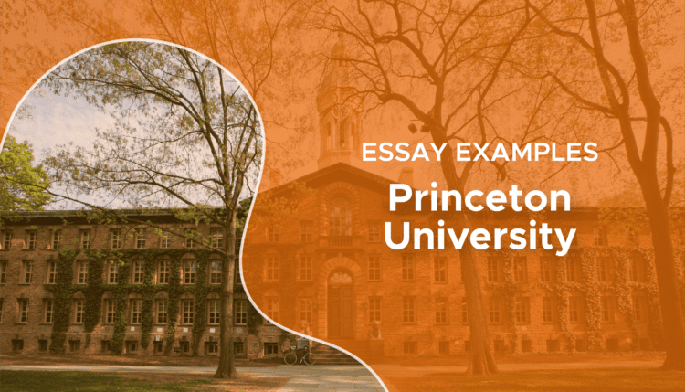 princeton essay examples