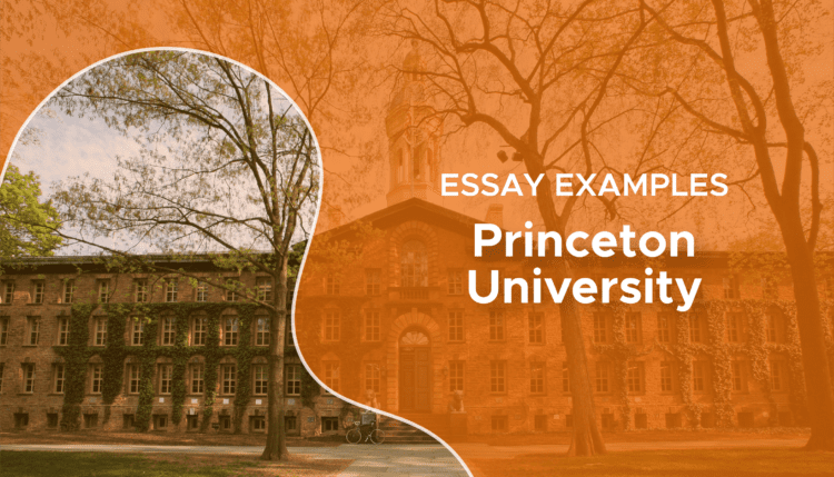 princeton university essay topics