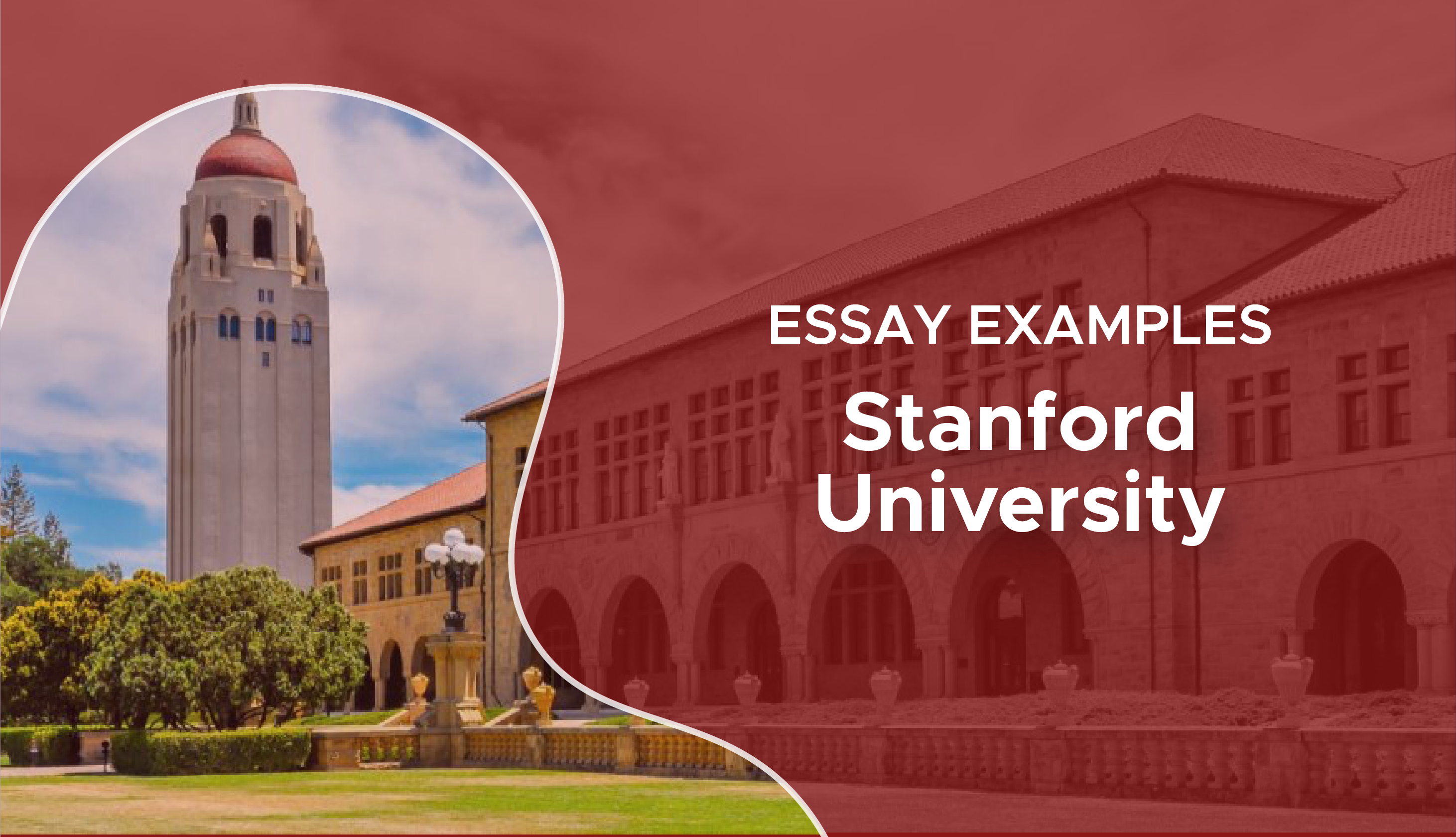 essay that worked for stanford