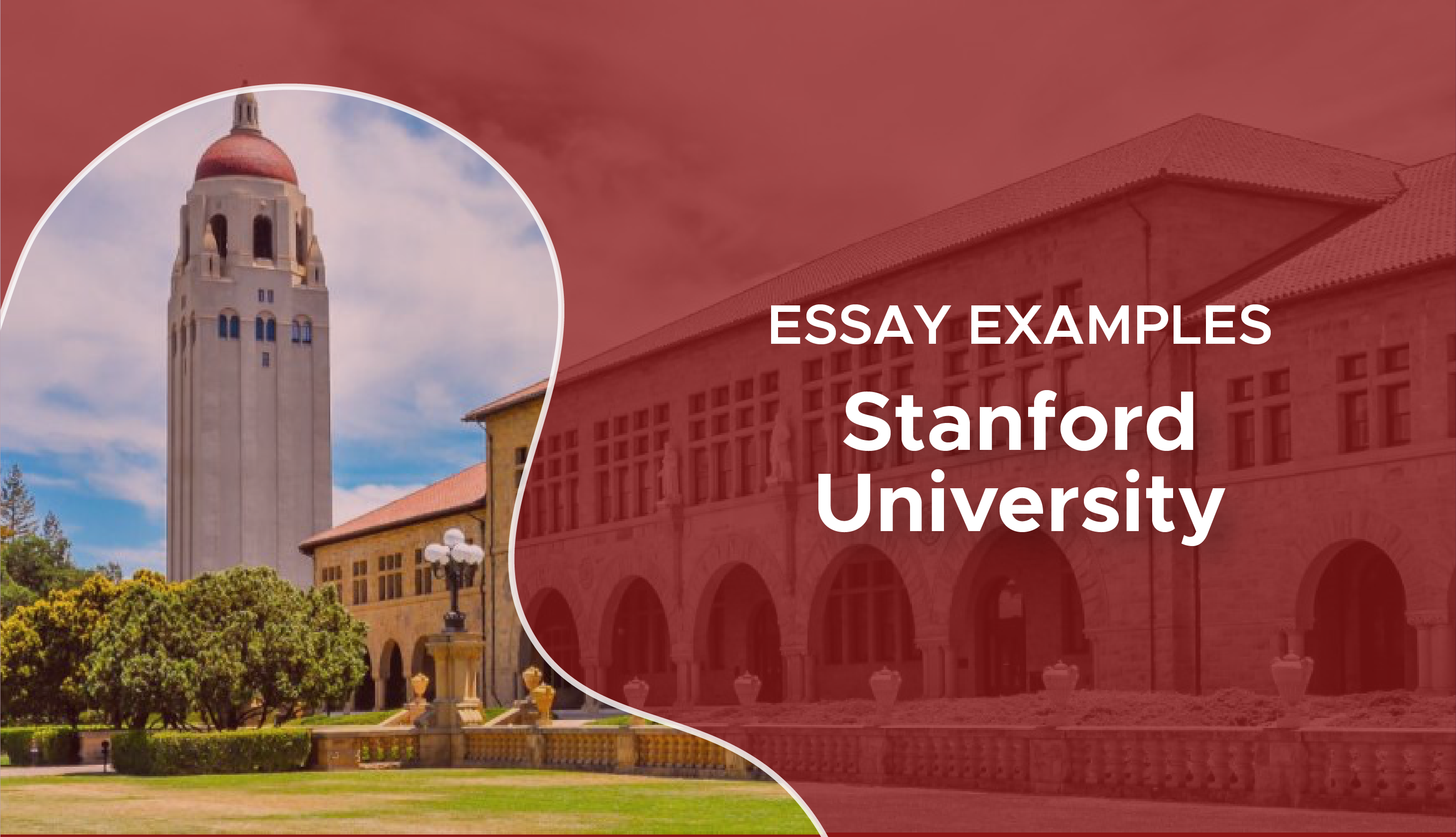 stanford admission requirements essay