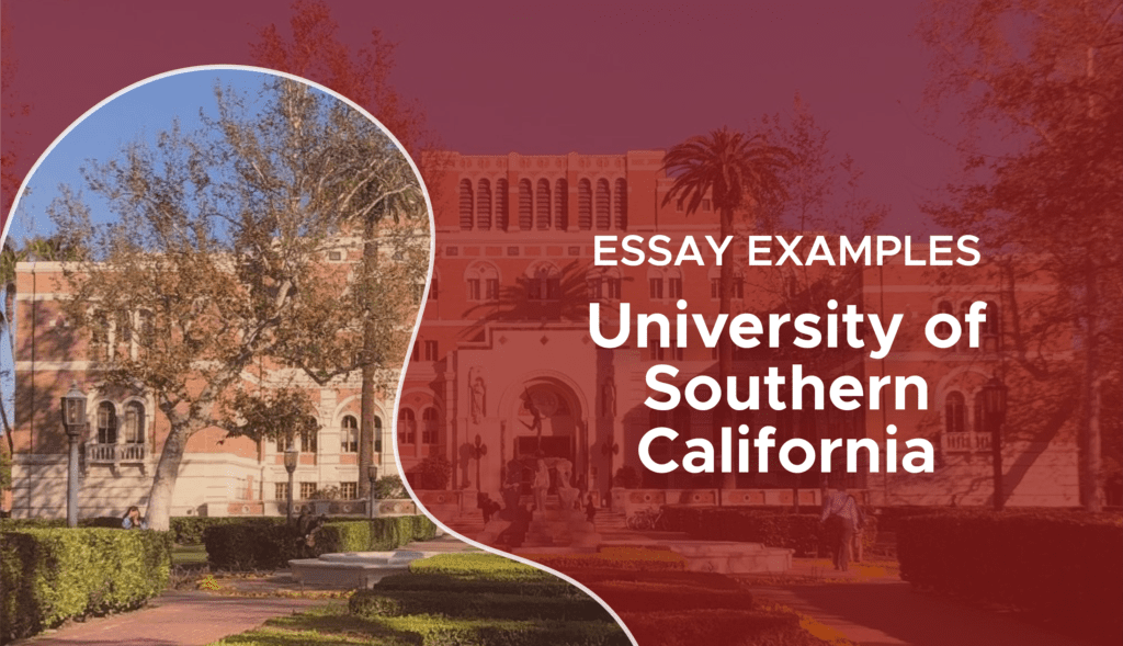 usc honors essay