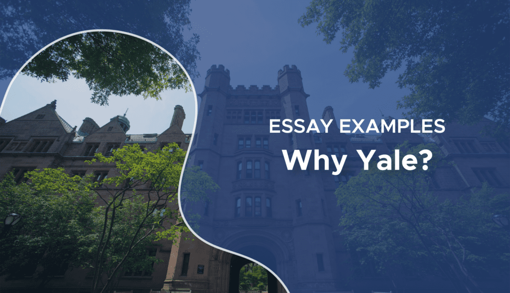 does yale require an essay