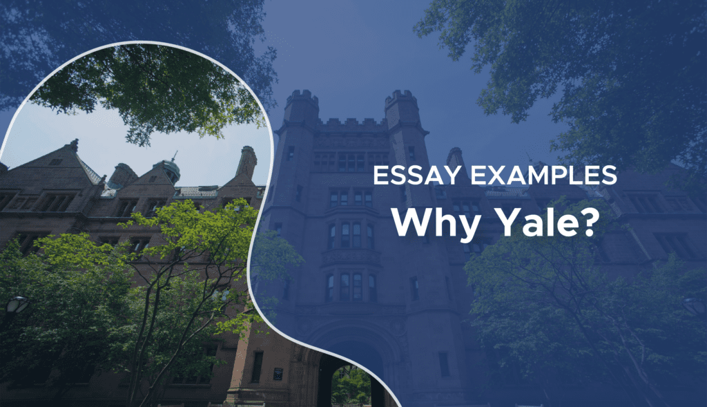 yale college essay