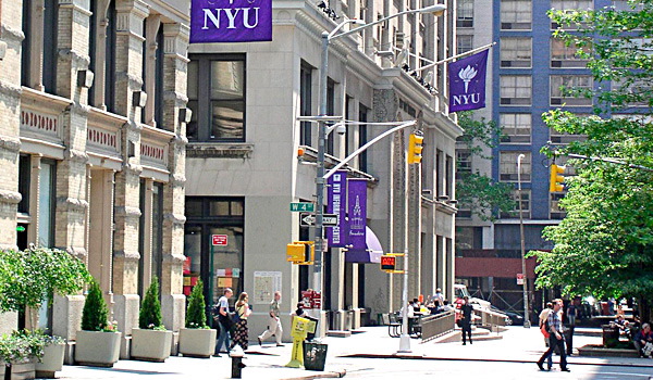 why nyu