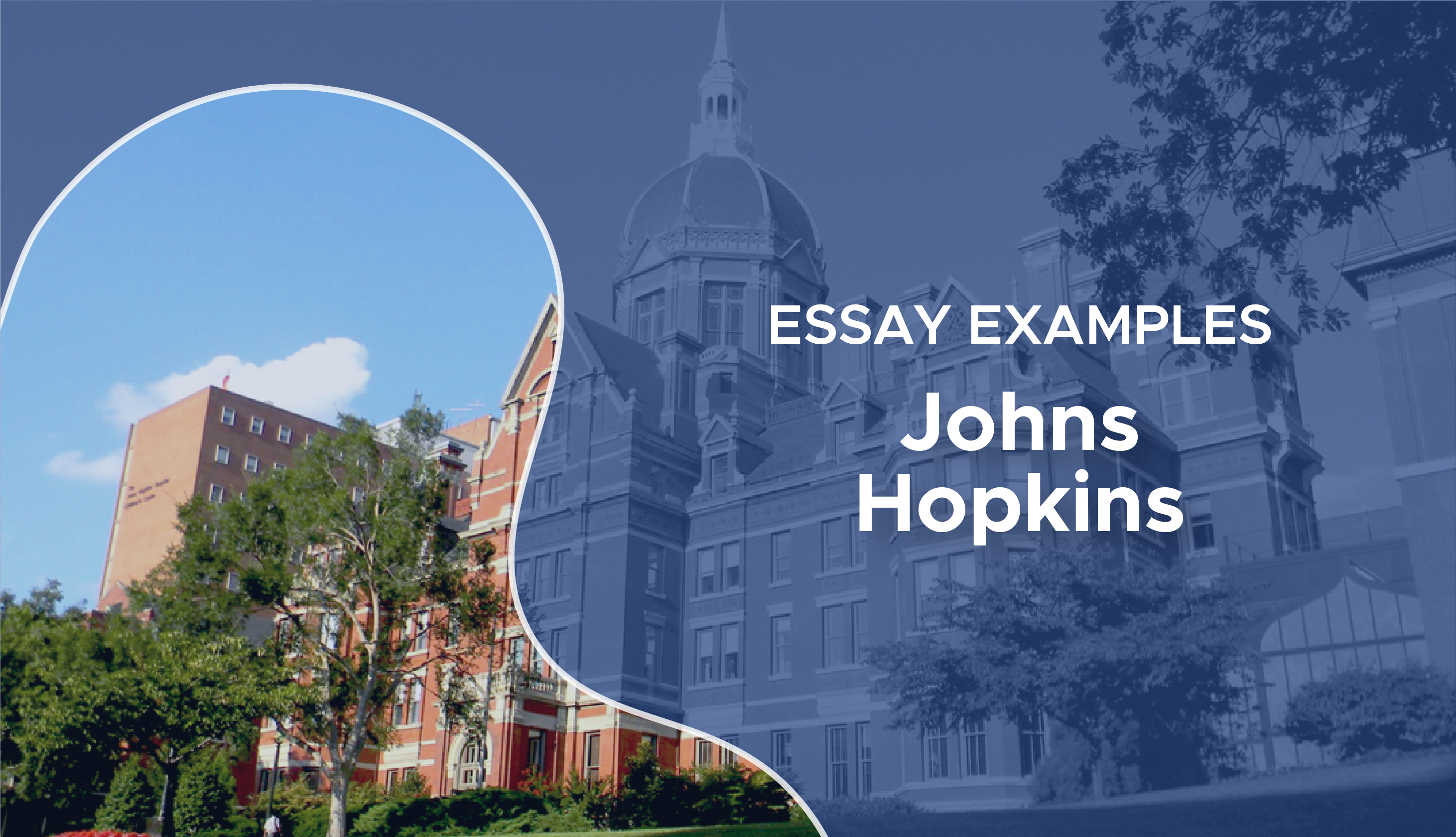 essays that worked for johns hopkins