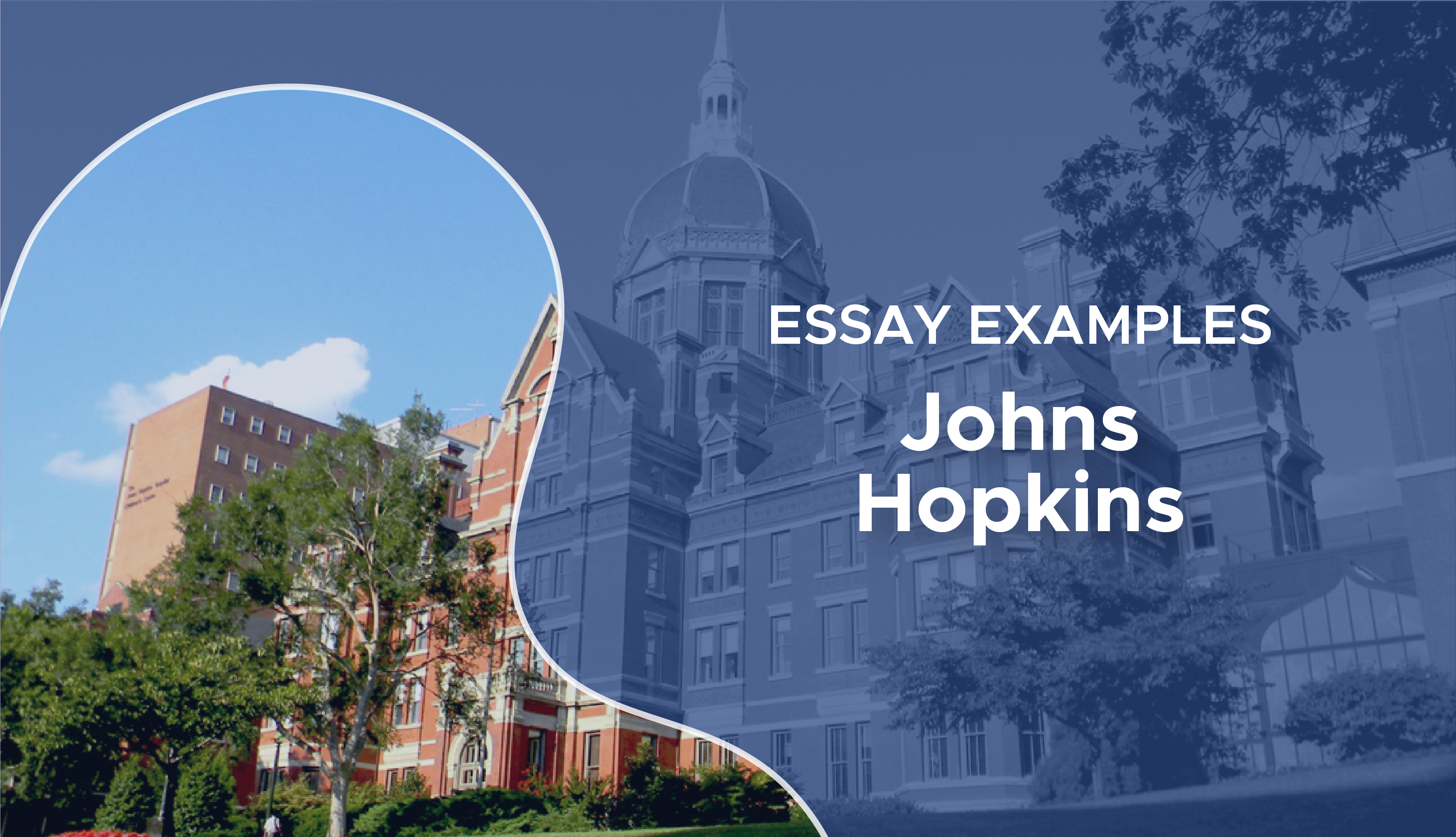 jhu essays that worked 2022