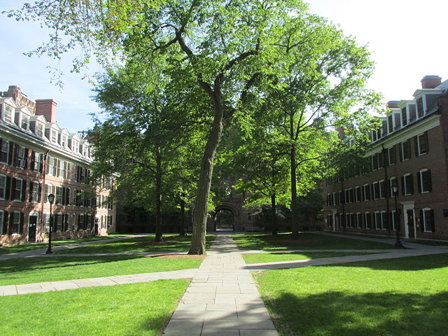 why yale essay examples