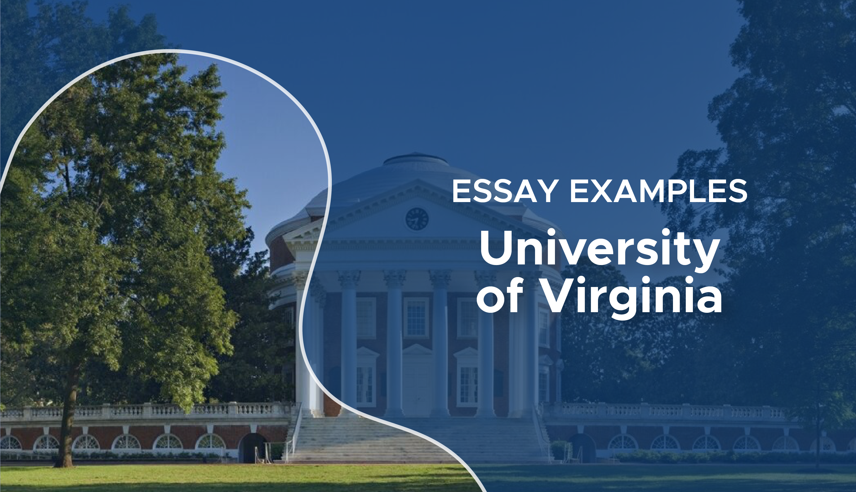 uva supplemental essays 2023 examples