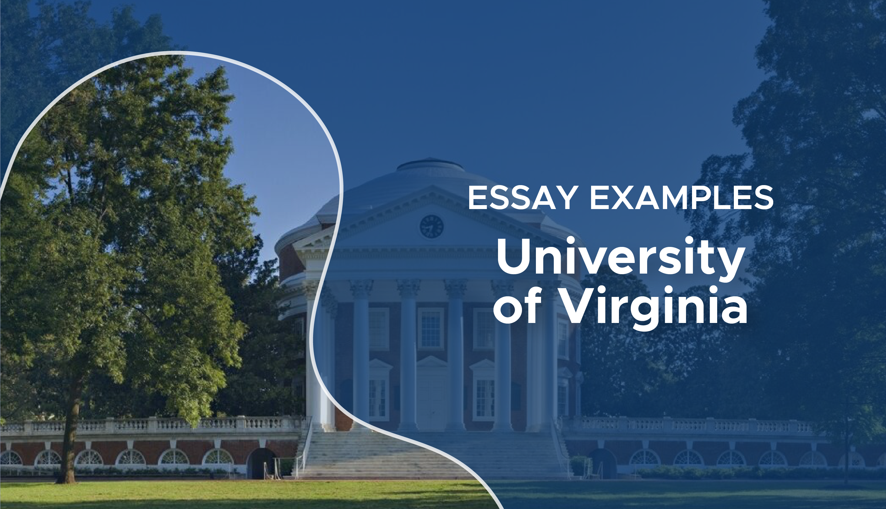 uva supplemental essays common app