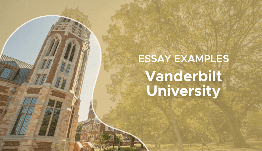 Vanderbilt Essay Examples Vanderbilt Essays That Worked