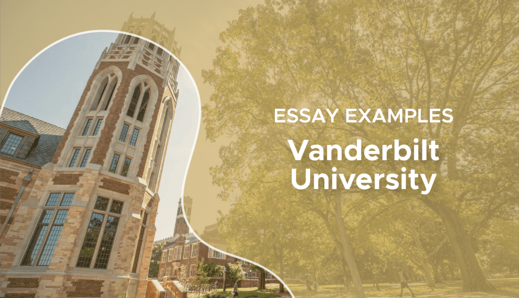 vanderbilt essay advice