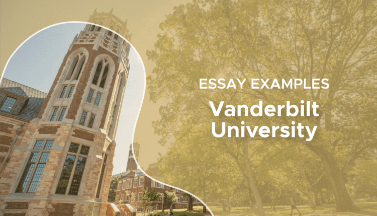 vanderbilt essay examples