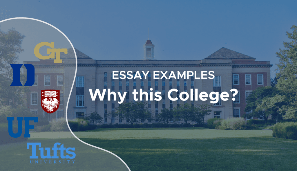 Why This College Essay Sample Why School Essay Examples
