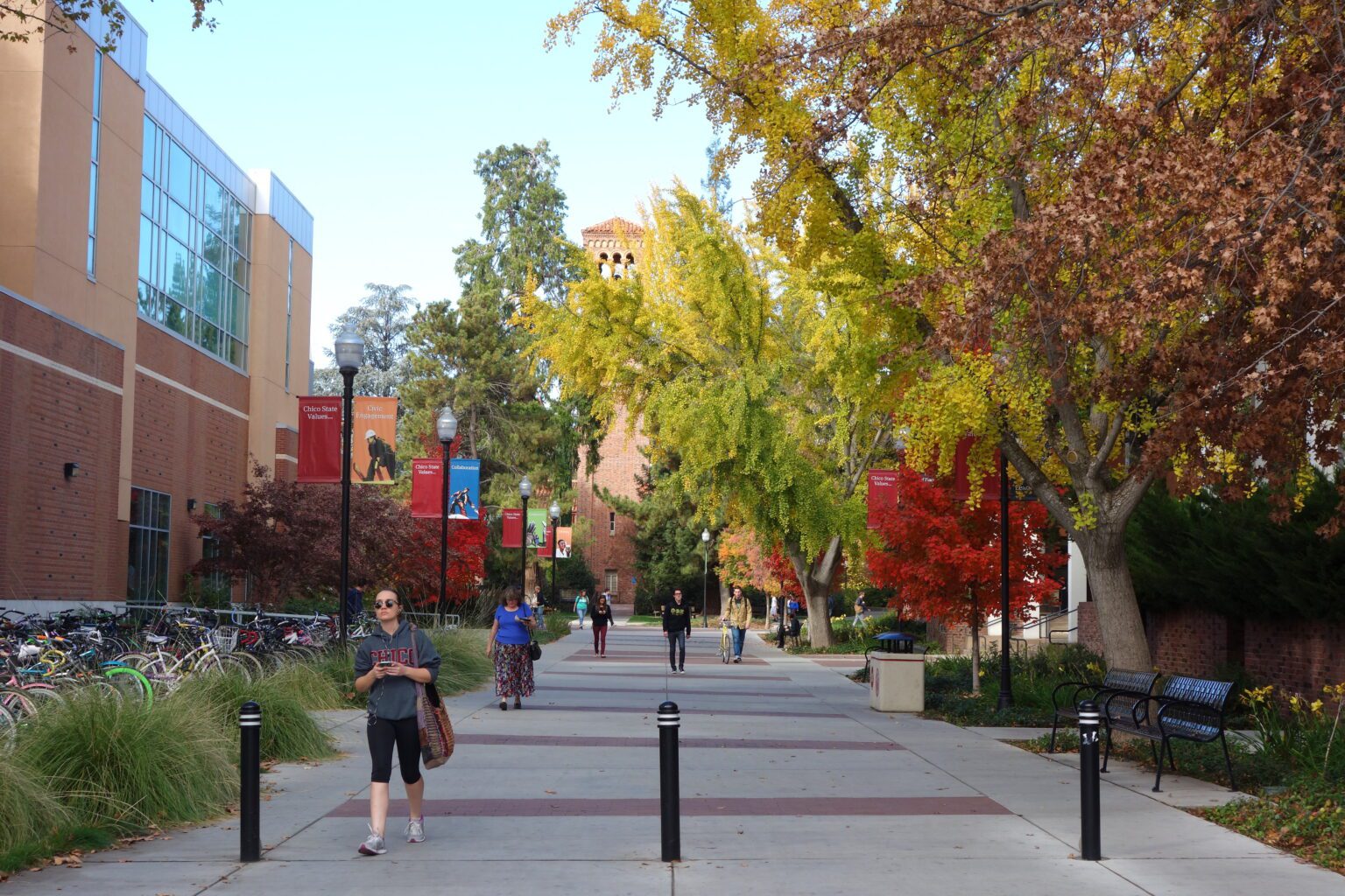 College Application Deadlines Early Action vs Early Decision