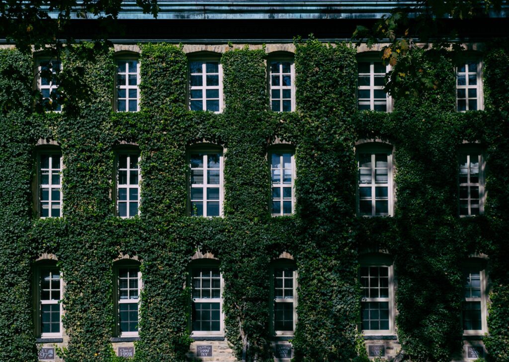 University of Chicago Ranking