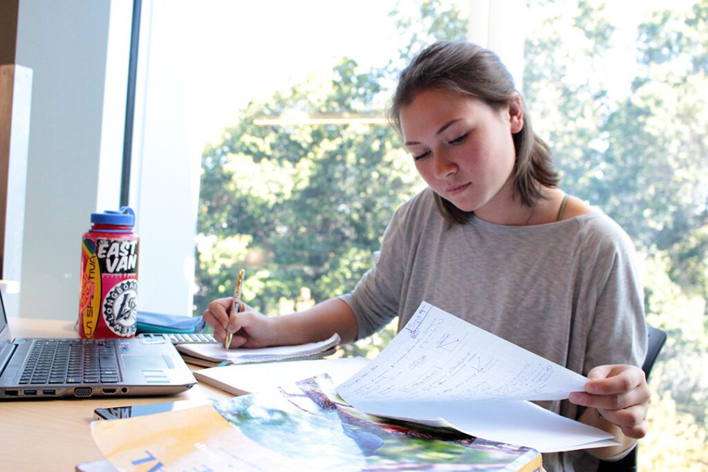 lehigh supplemental essays