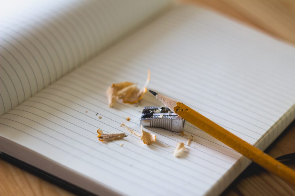 princeton essays that worked