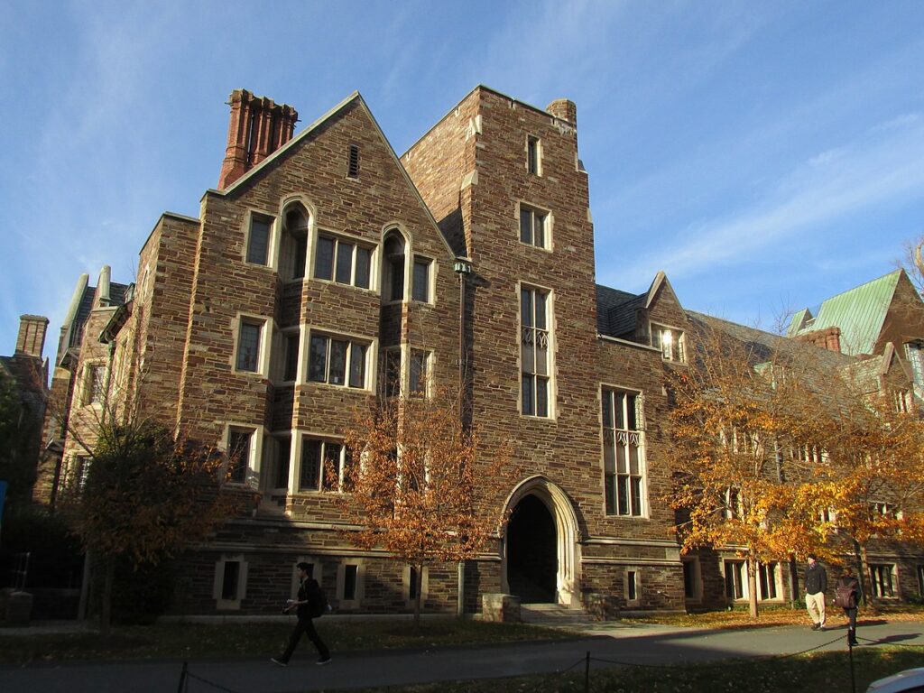 Princeton Supplemental Essay & Princeton Essays Expert Guide