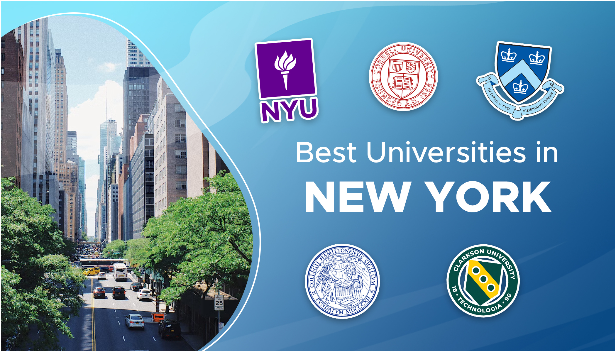 Best universities in New York 2022